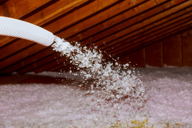 Best DIY Insulation Kits and Guidance in Red Lick, TX