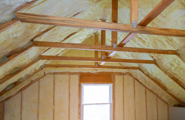 Best Geographic-Specific Insulation Services in Red Lick, TX