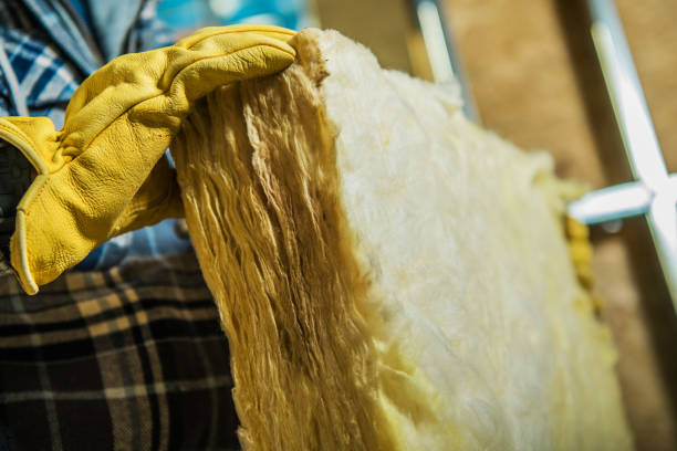 Best Commercial Insulation in Red Lick, TX