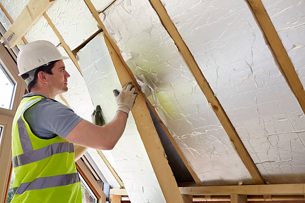 Professional Insulation Contractor in Red Lick, TX