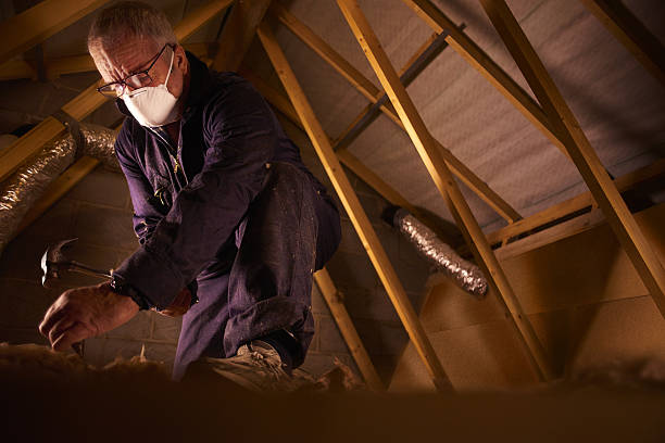 Types of Insulation We Offer in Red Lick, TX