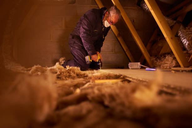 Trusted Red Lick, TX Insulation Contractor Experts
