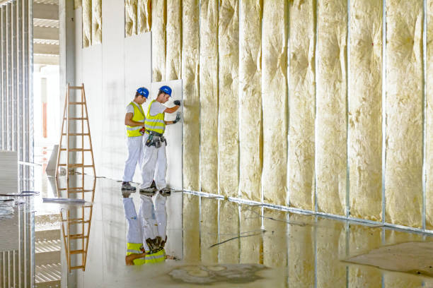 Best Eco-Friendly Insulation in Red Lick, TX